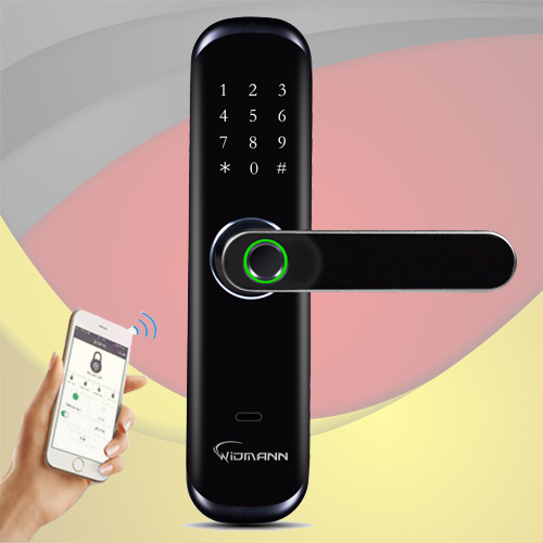 Khóa cửa Wifi WIDMANN F222 TUYA (Black)