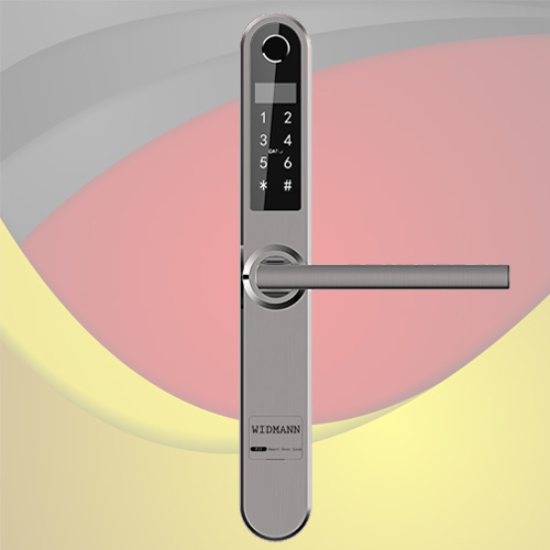 Khóa cửa nhôm Xingfa vân tay - thẻ từ - mã số WIDMANN F10 (Black)