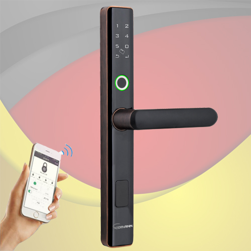 Khóa cửa nhôm Xingfa Wifi WIDMANN F11 TUYA (Bronze)