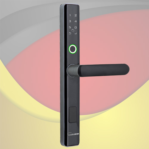 Khóa cửa nhôm Xingfa Vân tay - Thẻ từ - Mã số WIDMANN F11