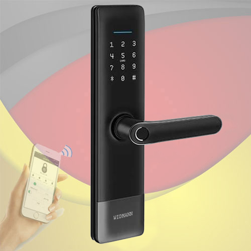 Khóa vân tay WIDMANN F02-B Wifi (Black)