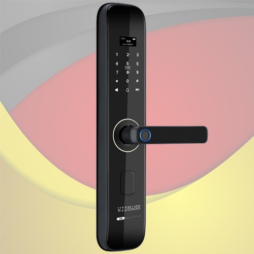 Khóa vân tay - thẻ từ - mã số WIDMANN F22